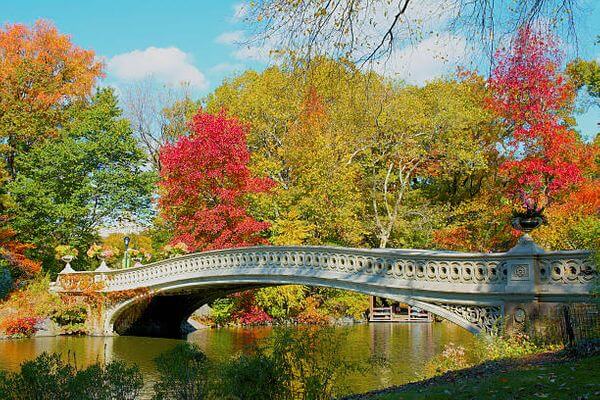 纽约中央公园Central Park打卡景点清单