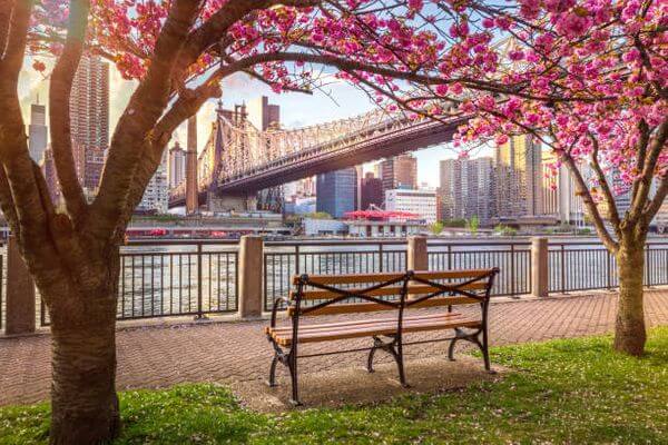 纽约16个赏樱地点清单大公开