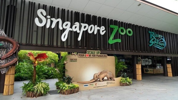 新加坡旅游攻略—动物园