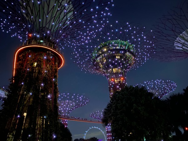 新加坡旅游攻略—滨海湾花园